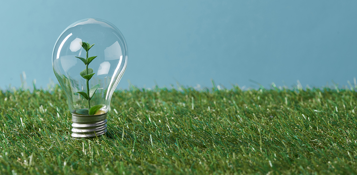 Jiashan Tocree Machinery Co., Ltd.